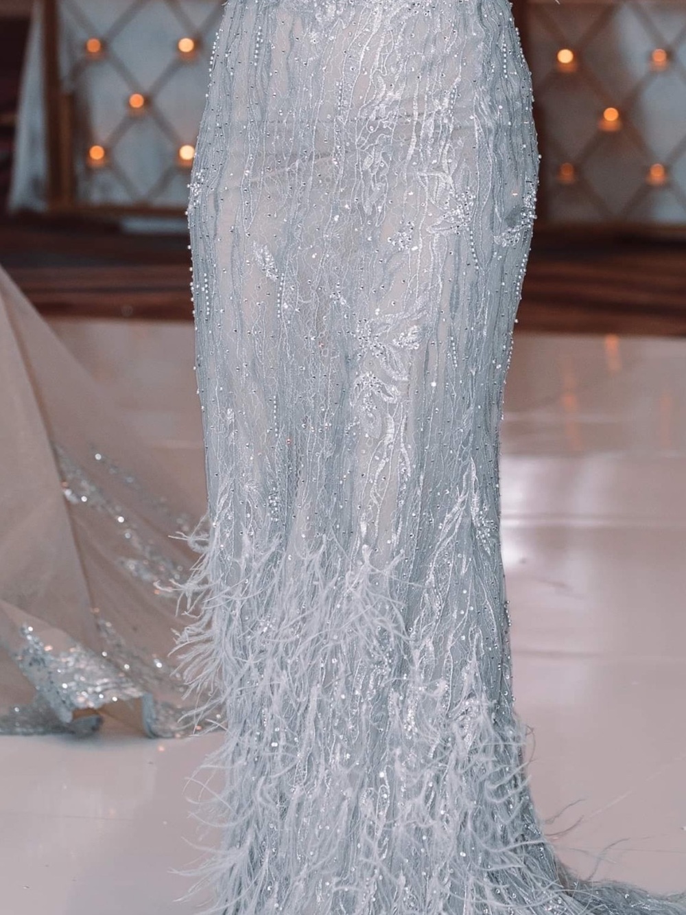 Silver Feather-Trim Beaded Evening Gown